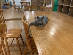 -藦茜花园宠物主题亲子互动体验馆(国顺东路店)