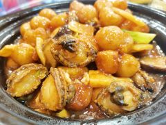 石锅鲍鱼小土豆-老苏扬饭店