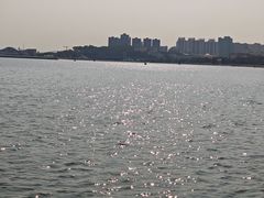 -幸福门