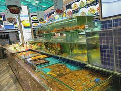 -望海湾海鲜楼·海鲜(河南路店)
