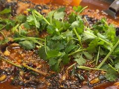 -重庆鸡公煲·青锅花椒鱼(牡丹江路店)