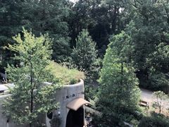 -三鹰之森吉卜力美术馆