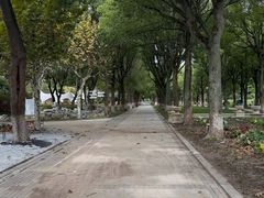 -上海鲜花港