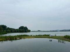 -渤公岛生态公园