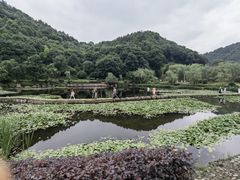 -桃花岭景区
