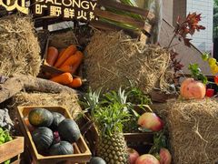 -大龙燚·旷野鲜火锅(广州首店)