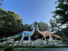 -森波拉奇妙世界