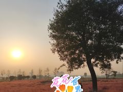 -汉长安城未央宫国家考古遗址公园