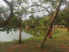 -白沙门生态公园