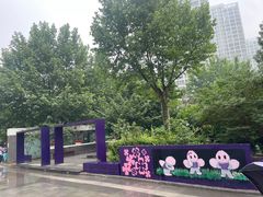 -清华大学附属小学商务中心区实验小学