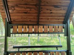 -大兴滨河森林公园