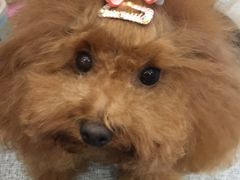 -派特宠物医院(圆融广场店)