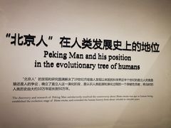 -北京周口店北京人遗址博物馆