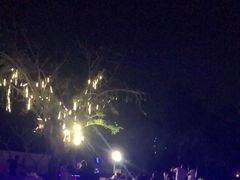 -水润轩私厨海南菜餐厅(铂尔曼酒店)