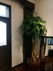 -新龙门刺青·纹身