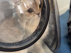 -心仪动物医院·牙专科·肿瘤·心脏科(西客站院)