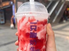 -一只酸奶牛(八一路店)