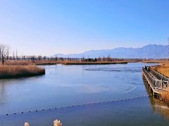 -野鸭湖国家湿地公园