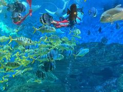 -横店影视城梦幻谷园区