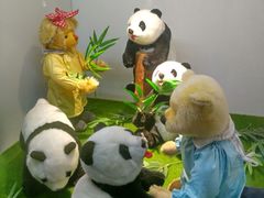 -成都泰迪熊博物馆