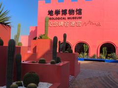 -漳州滨海火山岛自然生态风景区