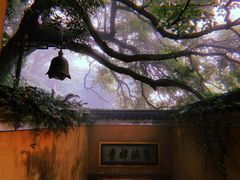 -普陀山风景区-佛顶山
