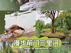 -三里河公园