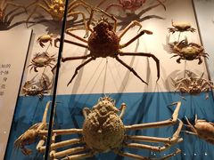 -贝林大翅鲸简餐厅(国家海洋博物馆店)