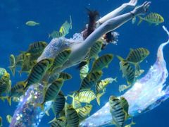 -太平洋海底世界