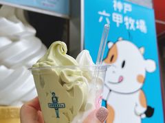 开心果牛奶双拼冰淇淋-神户六甲牧场(北野本店)