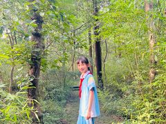 -西湖风景区-江洋畈生态公园