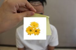 -大麦微针植发丨全国连锁