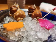 -松涛日本料理