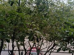 -故乡缘·香格里拉山庄(冷竹路店)