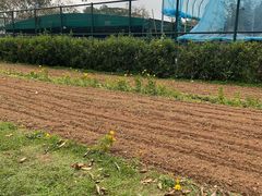-观澜湖生态运动公社