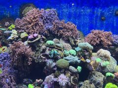 -珠海长隆海洋王国