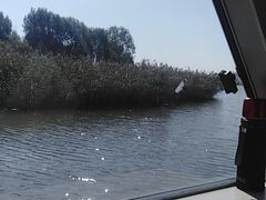 -微山湖红荷湿地景区