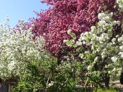 -元大都城垣遗址公园