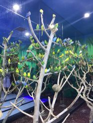 点击看大图 -未来动物城动物主题公园(大悦城店)