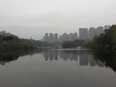-重庆彩云湖湿地公园