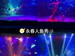 -顺德南宏海立方海洋公园