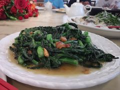 有机菜心-朱仔记食府(江南大道店)