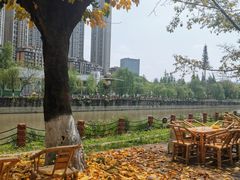 -成都市活水公园