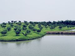 -乌村