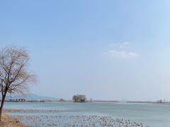 -苏州太湖湖滨国家湿地公园