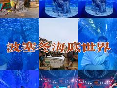 -哈尔滨波塞冬海底世界
