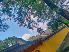 -阿育王寺