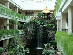 -白天鹅宾馆-宏图府餐厅