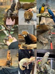 -Zoolung Zoolung动物主题公园(海信广场店)