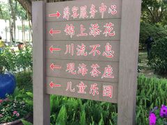 -华侨公园